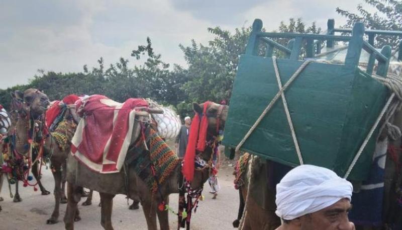 موكب الجمال في طنطا