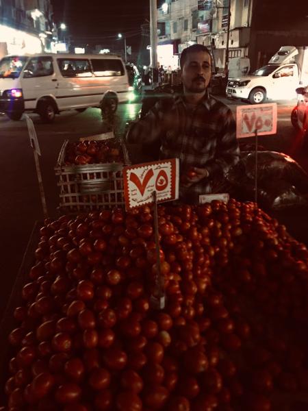 الطماطم 