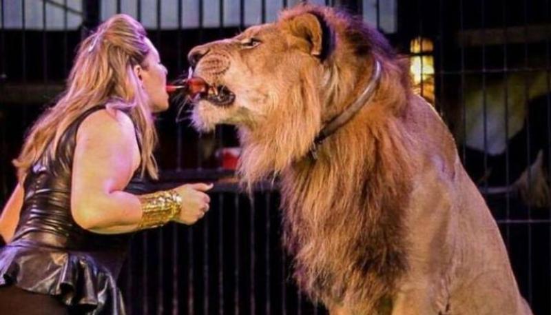 مدربة الأسود المصرية فاتن الحلو 