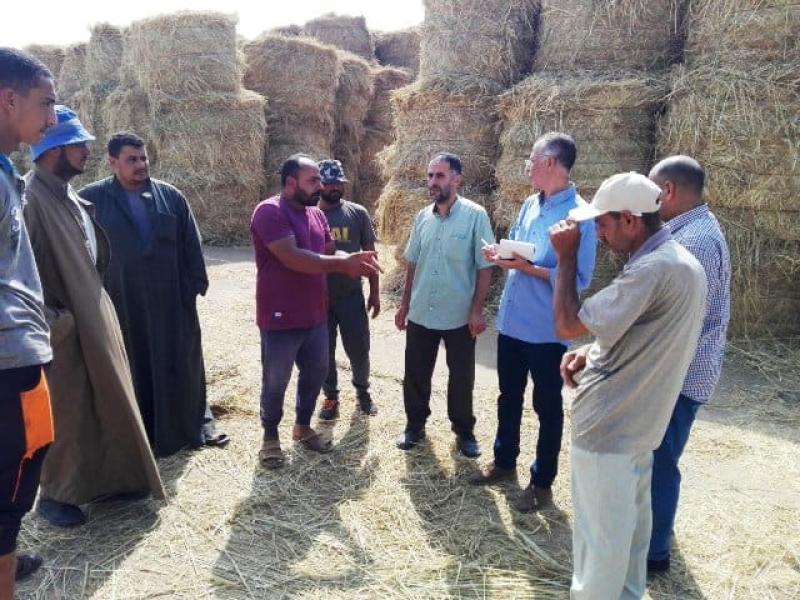 محافظ الشرقية د ممدوح غراب