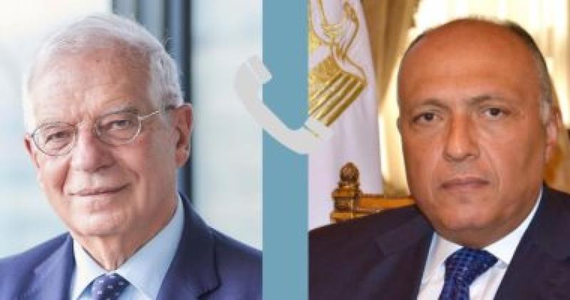 شكرى وممثل الاتحاد الأوروبي