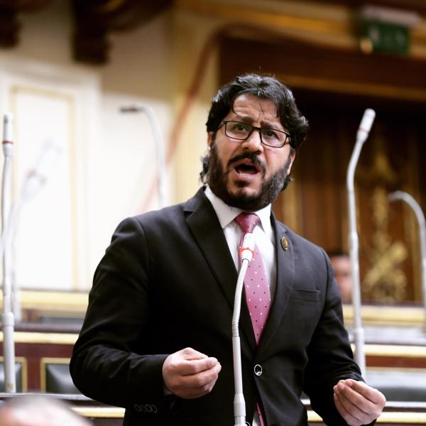النائب احمد البرلسي
