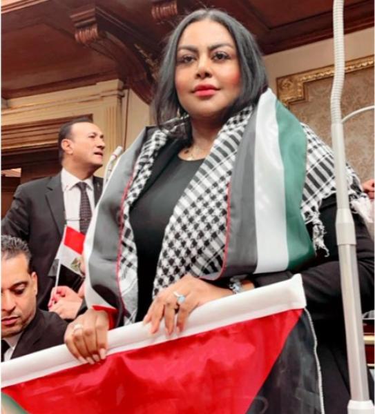 النائبة الدكتورة نيفين حمدي