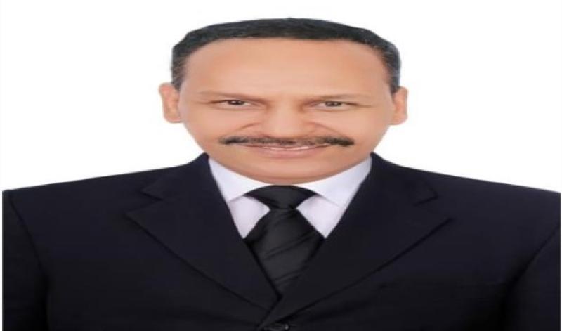 الدكتور عماد نجيب، أمين ذوى الهمم بحزب مستقبل وطن