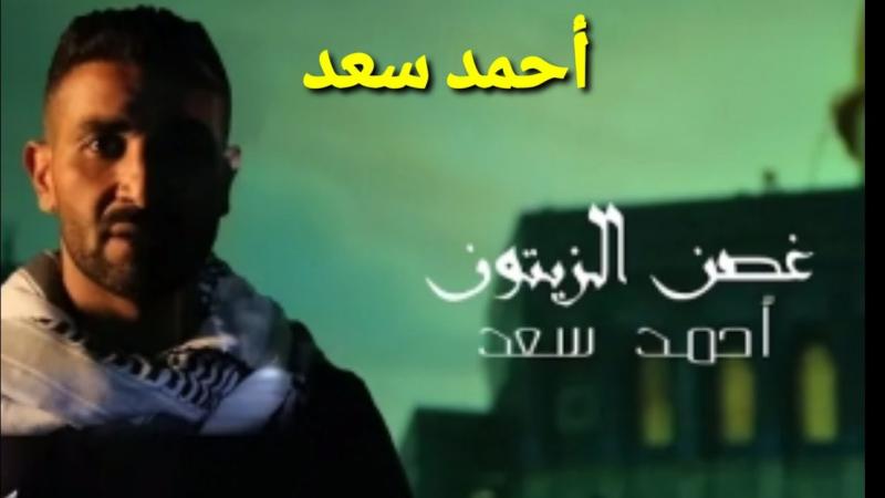 أحمد سعد