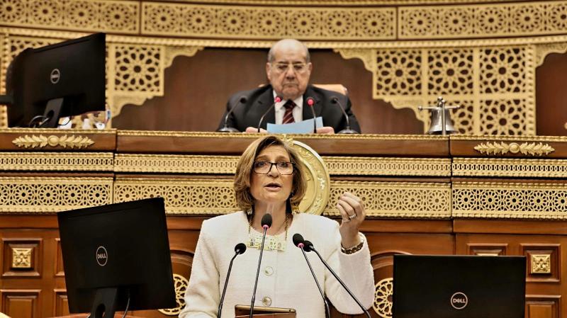 النائبة هبة شاروبيم