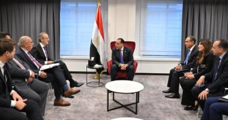 مدبولى ورئيس شركة ديمى