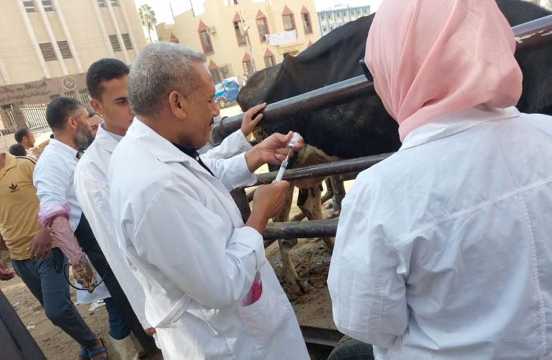 قافلة بيطرية مجانية بقرية إبشواى