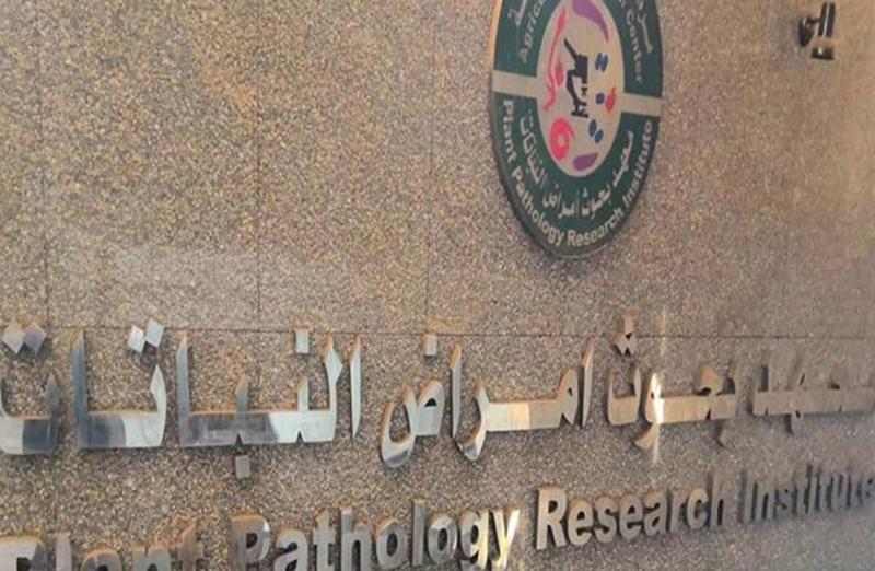 معهد أمراض النباتات