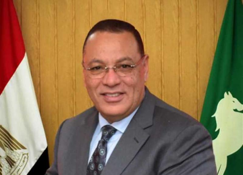 محافظ الشرقية 