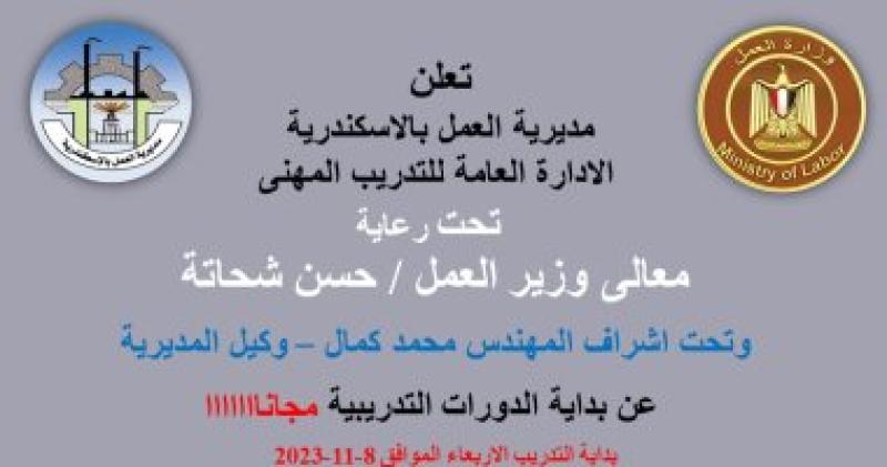 دورات تدريبية مجانية على 4 مهن لشباب الأسكندرية