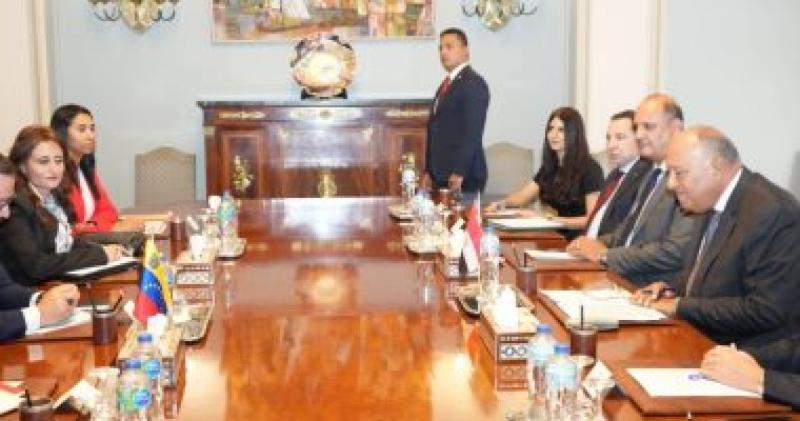 سامح شكرى ونظيره الفنزويلى