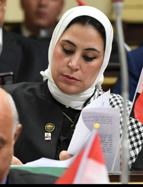 ولاء التمامى عضو مجلس النواب