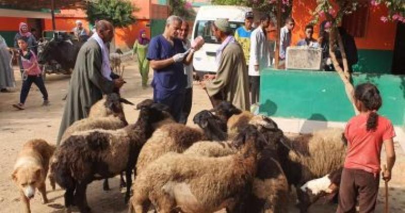 قافلة بيطرية - أرشيفية