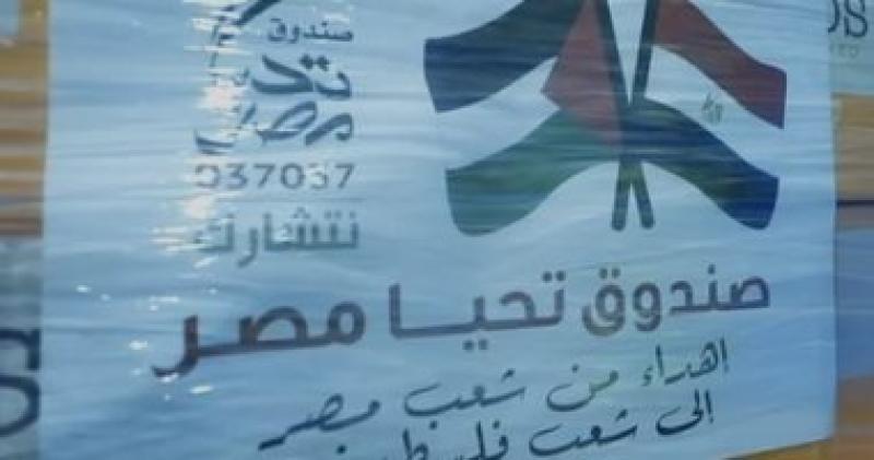 صندوق تحيا مصر