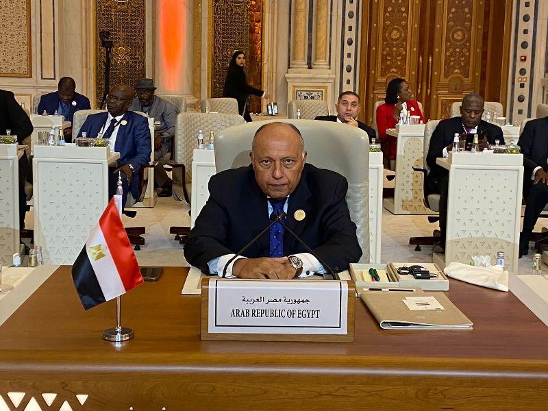 وزير الخارجية سامح شكرى 
