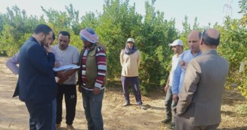 حصر وتسجيل لعمالة غير منتظمة بشركات بالإسماعيلية