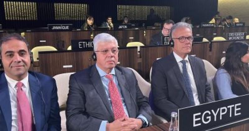 وزير التعليم العالى خلال الجلسة