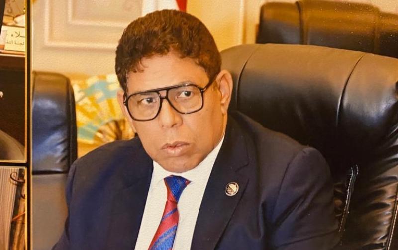 النائب سيد عوض