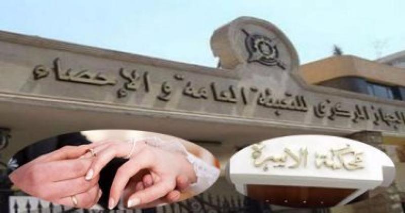 الجهاز المركزي للتعبئة العامة والإحصاء