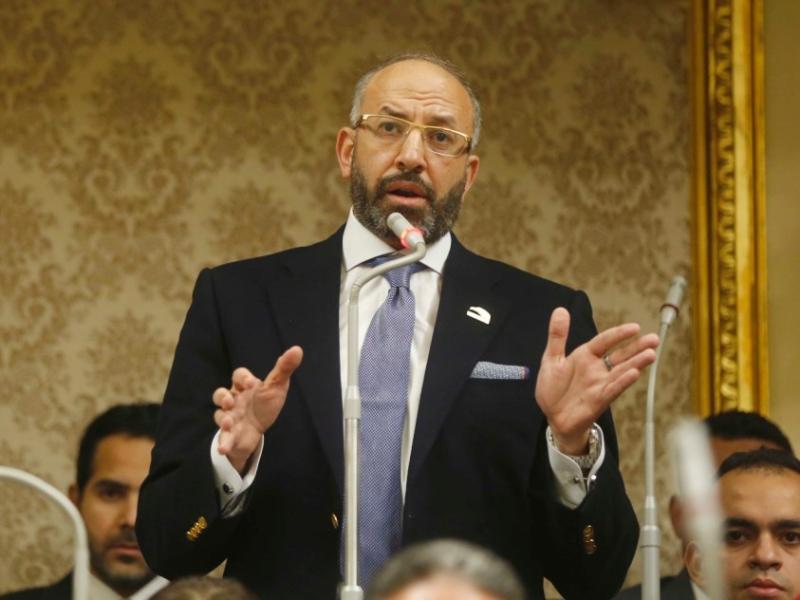 النائب حسام المندوة
