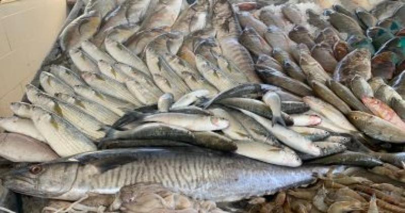 سعر السمك-