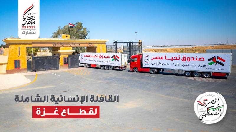 صندوق تحيا مصر 