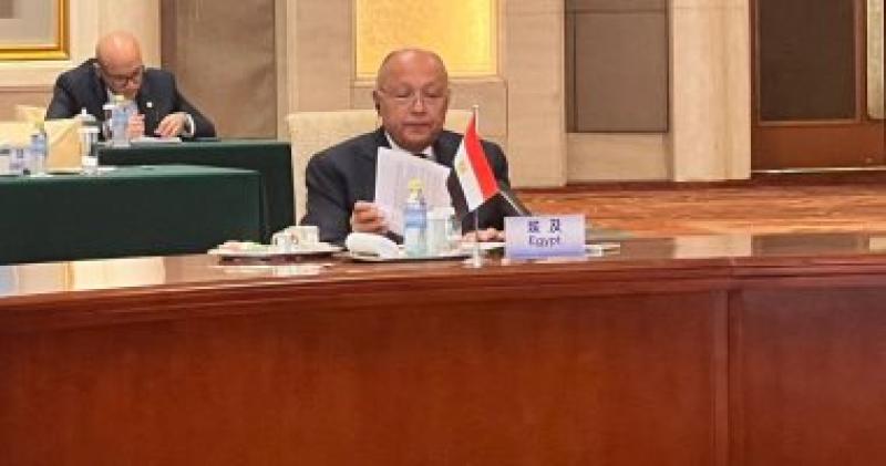 سامح شكري 