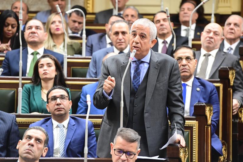 كريم درويش رئيس لجنة العلاقات الخارجية