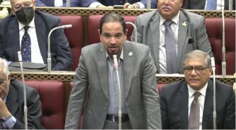 محمد عبد العليم  الشيخ الضبعاوي