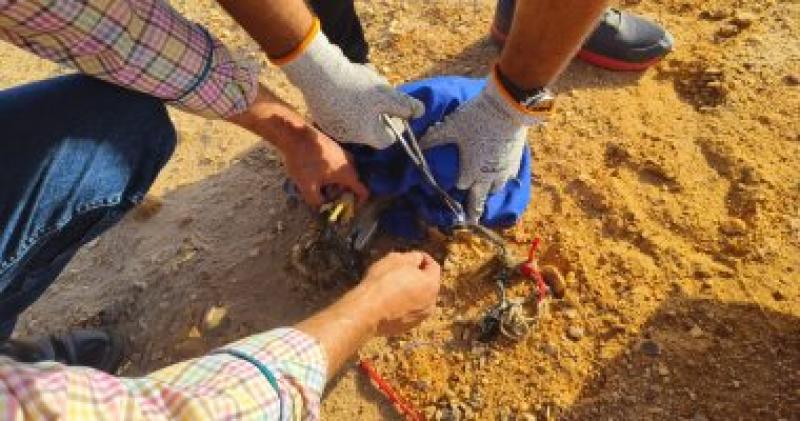 البيئة تنجح فى ضبط تجار الطيور النادرة