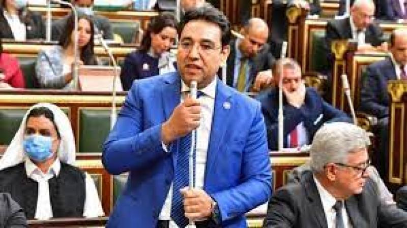 الدكتور أيمن محسب وكيل لجنة الشئون العربية بمجلس النواب
