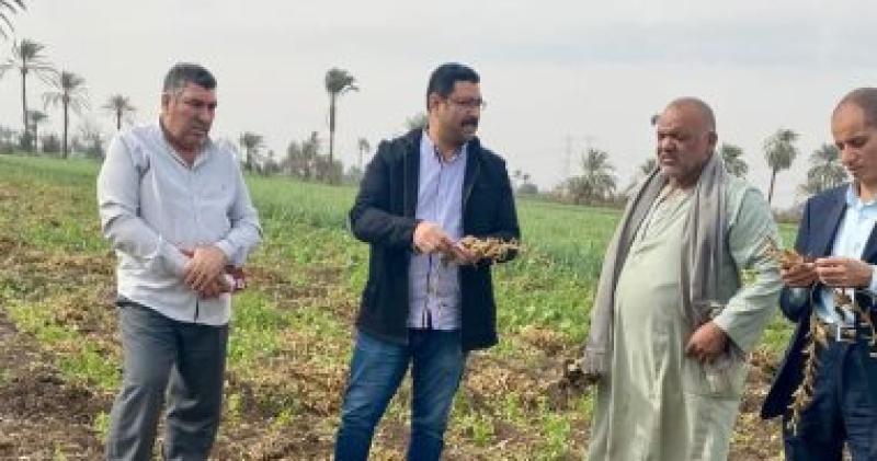 المحاصيل الاسترشاديه