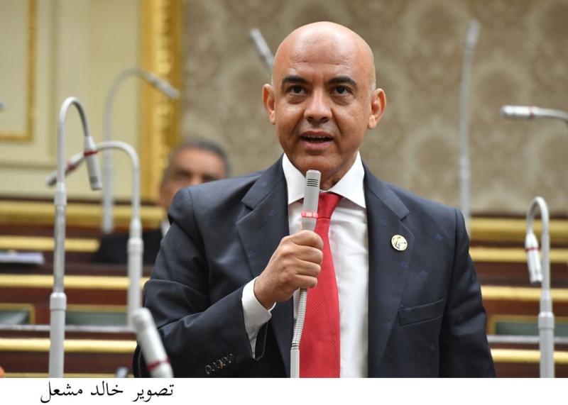  النائب عمرو هندى