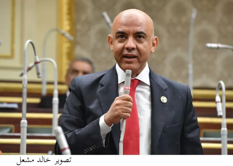  النائب عمرو هندى