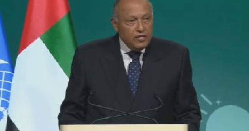 سامح شكرى