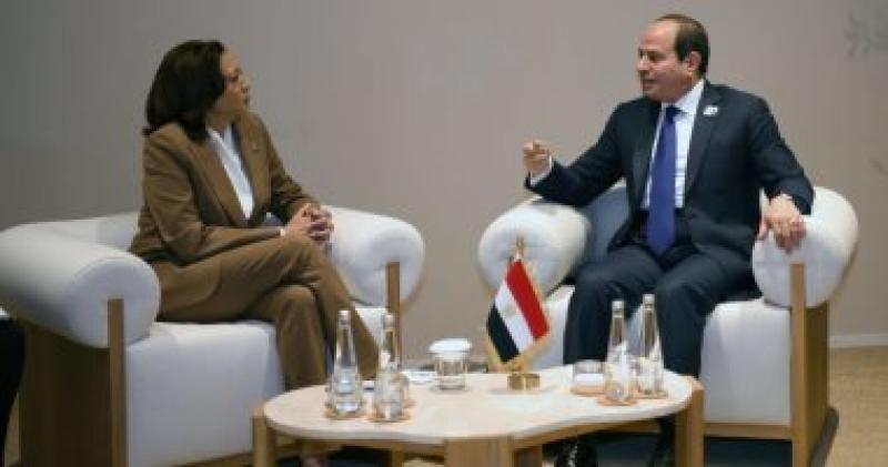 الرئيس عبد الفتاح السيسى