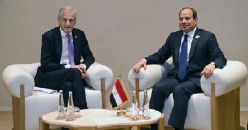 الرئيس عبد الفتاح السيسى