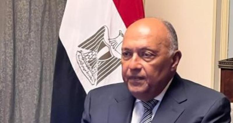 وزير الخارجية 