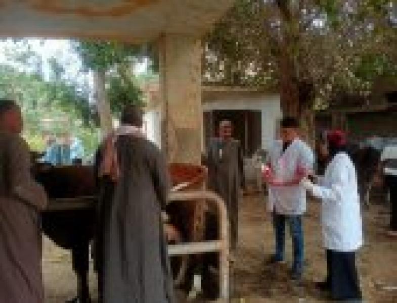 قافلة بيطرية