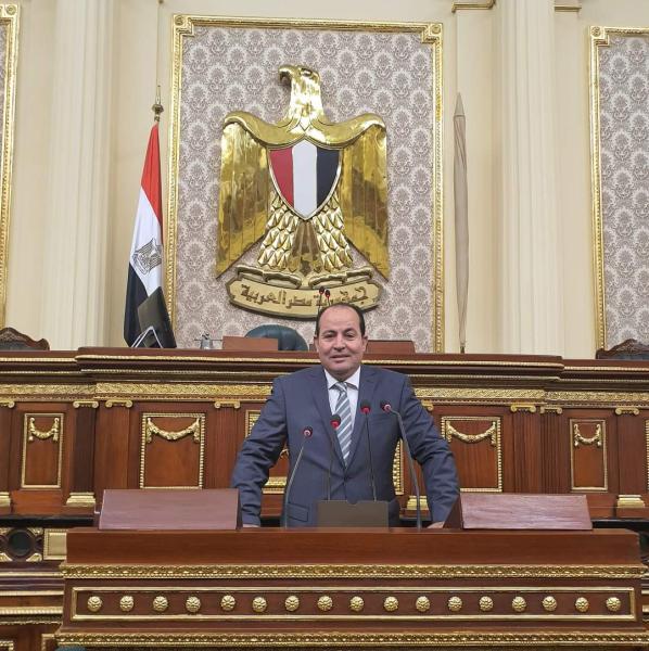 النائب عبد الباسط الشرقاوى