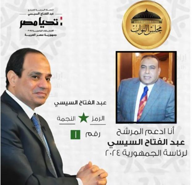  المستشار محمد سليم