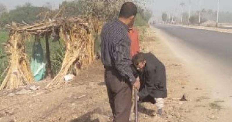 جانب من زراعة الأشجار