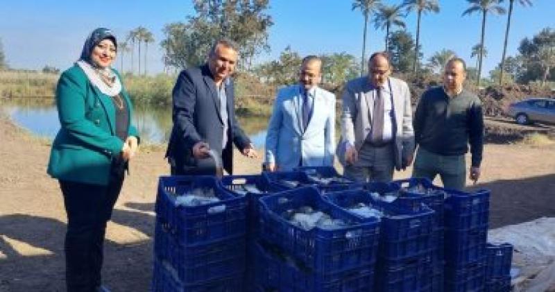 الدكتور السيد فودة يشهد حصاد السمك