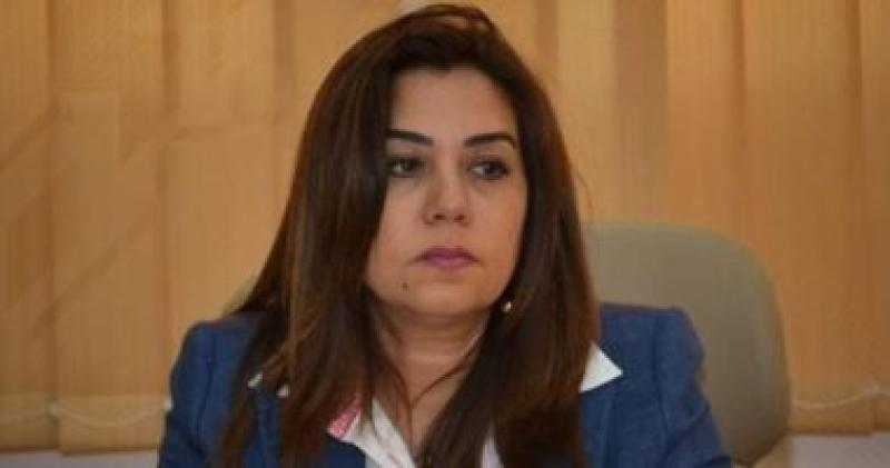 محافظ دمياط 