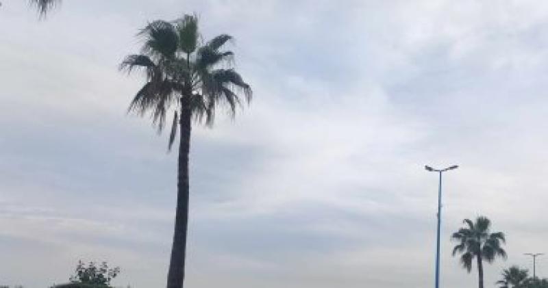 طقس الإسكندرية