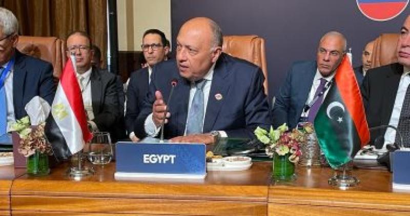 وزير الخارجية سامح شكرى