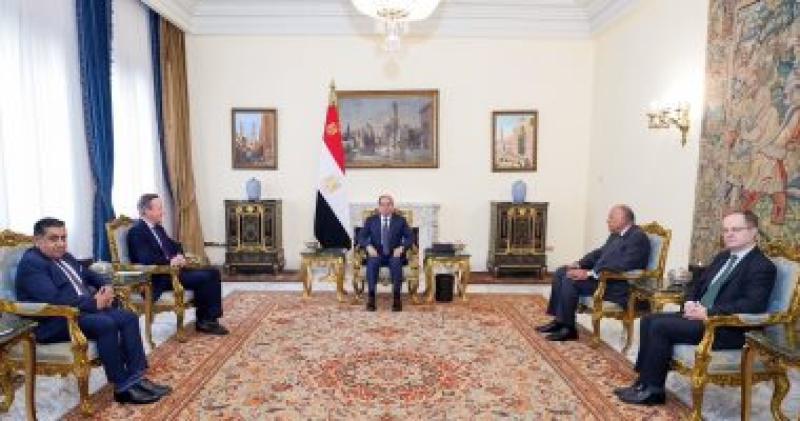الرئيس عبد الفتاح السيسى