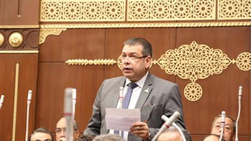 النائب محمد صبرى
