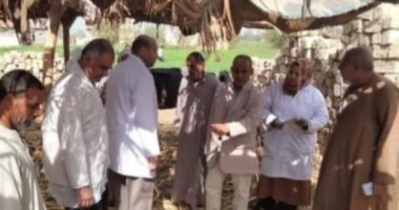 جانب من التحصين
